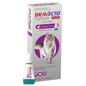 BRAVECTO  CATS PURPLE 1PK