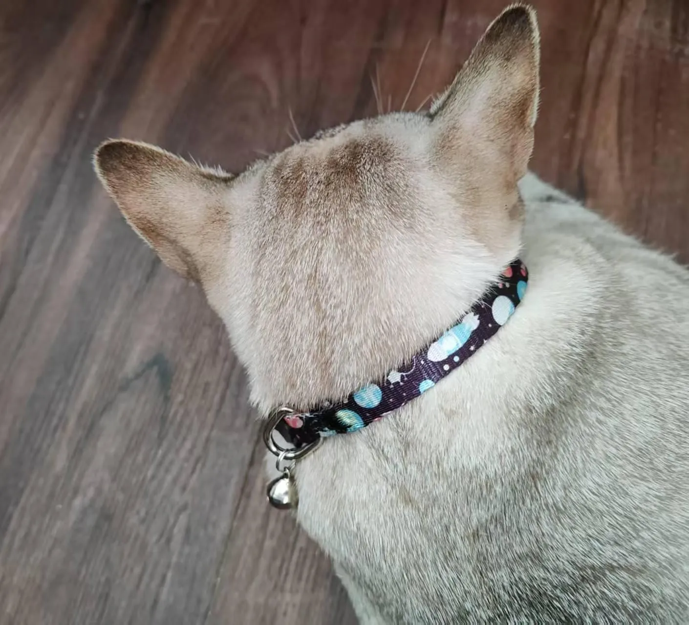 Cat Collar, 2 Pack Breakaway Collar with Bells, Safety Buckle Kitten Collars for Boy and Girl Cats, Star and Moon