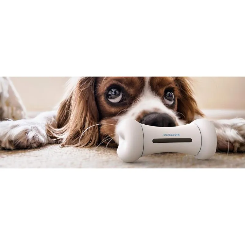 Cheerble Wickedbone Smart Interactive Dog Toy - White