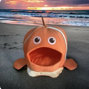 Clown Fish Pet Bed