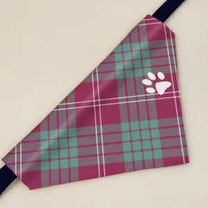 Crawford Ancient Tartan Pet Bandana