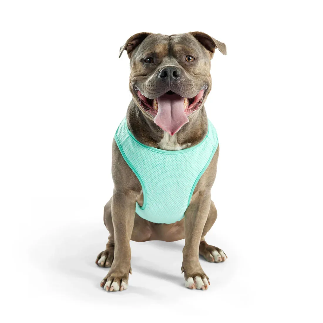 Dog Cooling Vest
