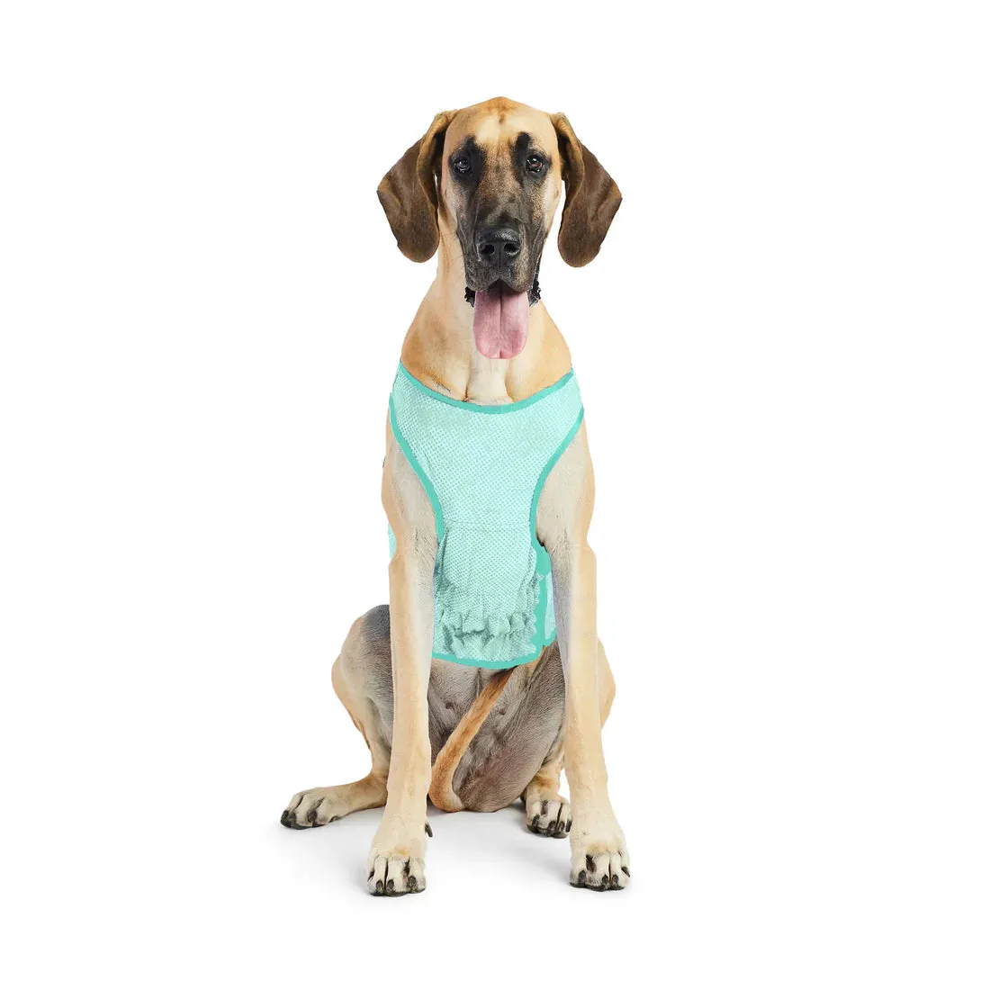 Dog Cooling Vest