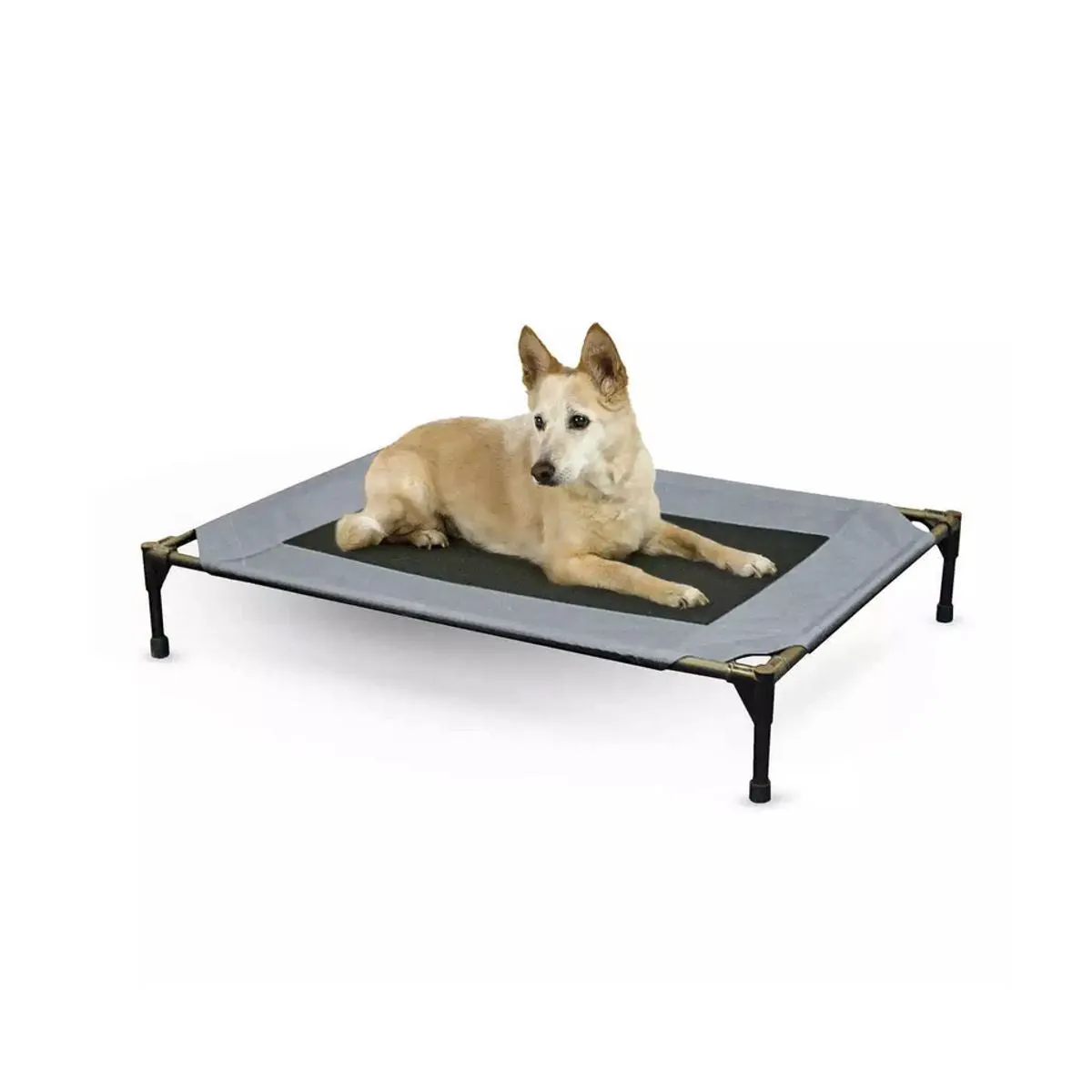 Gray Blue Dog Cot with Waterproof Fabric - Large