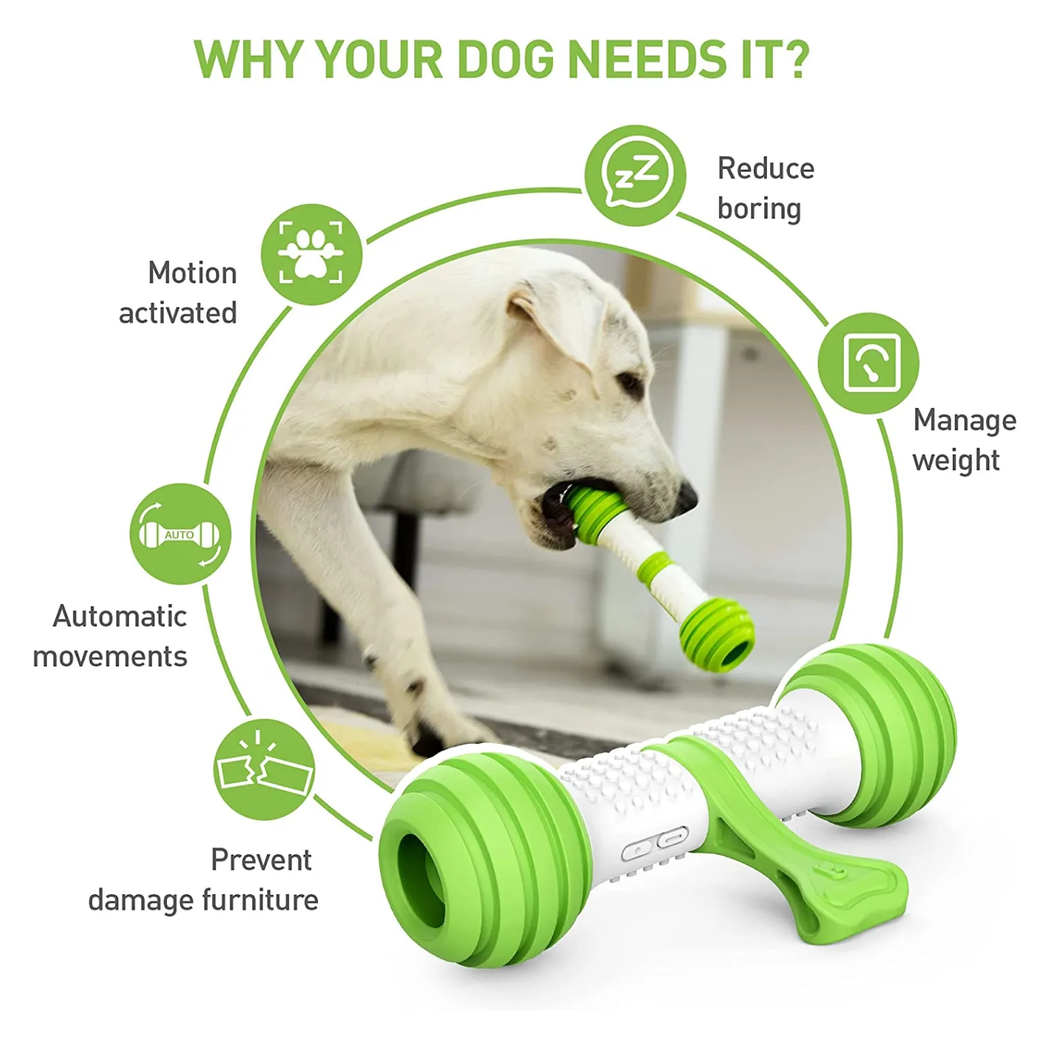 Pet Geek Playbone Toy for Dogs (White/Green)
