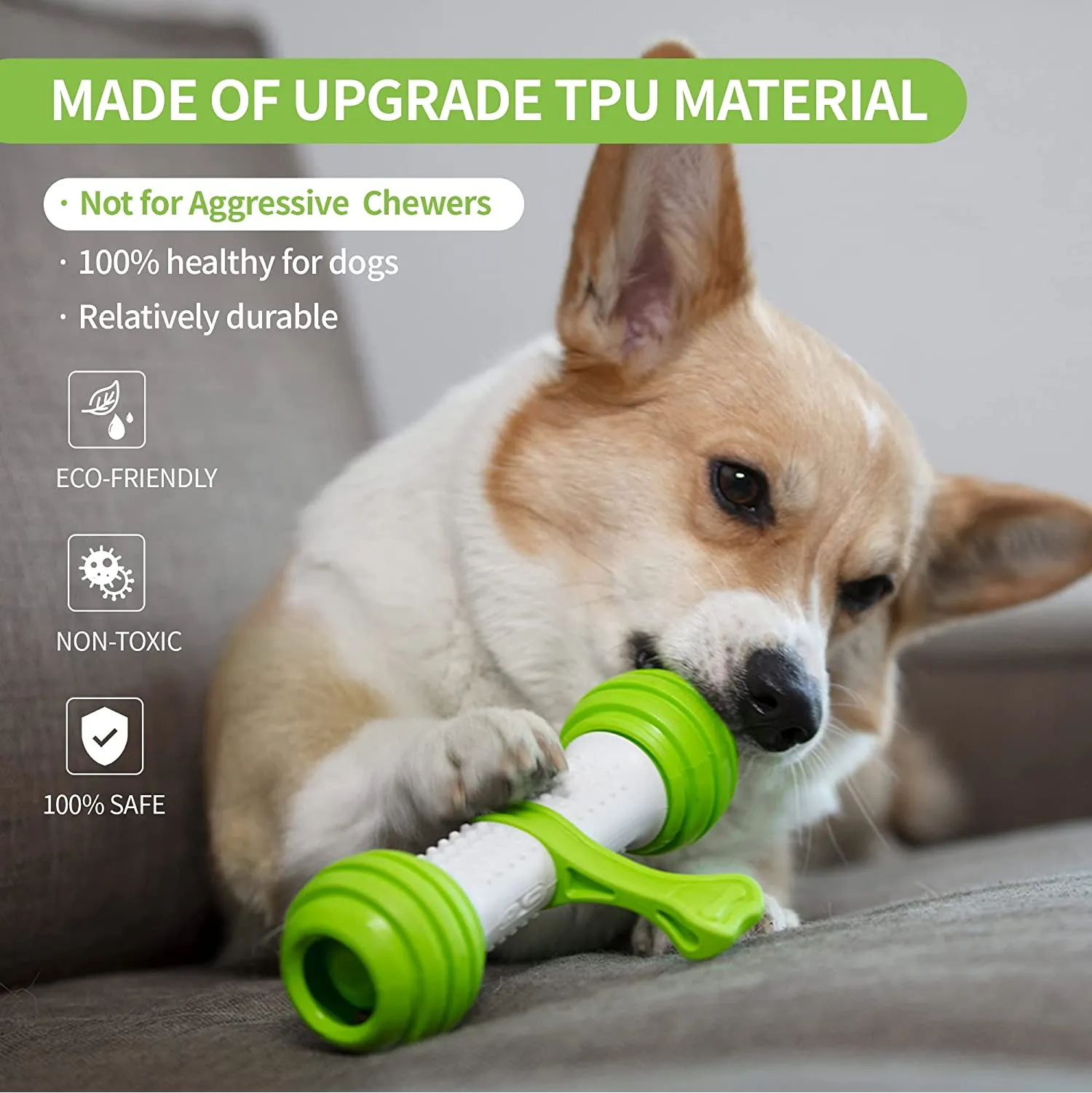 Pet Geek Playbone Toy for Dogs (White/Green)