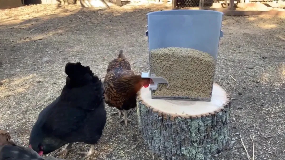 Poultry Pro Feeder DIY Kit