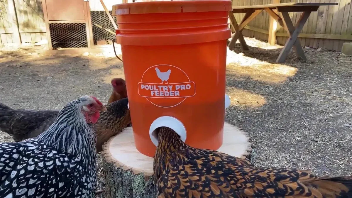 Poultry Pro Feeder DIY Kit