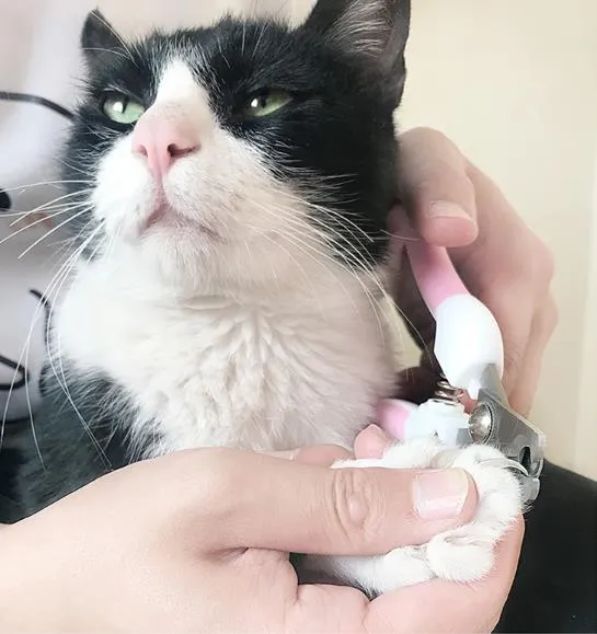 Professional Pet Cat Dog Nail Clipper Cutter Stainless Steel Grooming Clippers Grinders Cats Dog Claw Nail Scissors with Lock