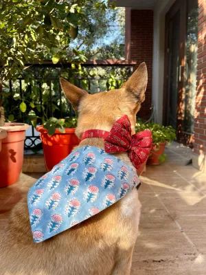 Puppy Love Valentine's Day Combo (Bow Collar, Bandana)