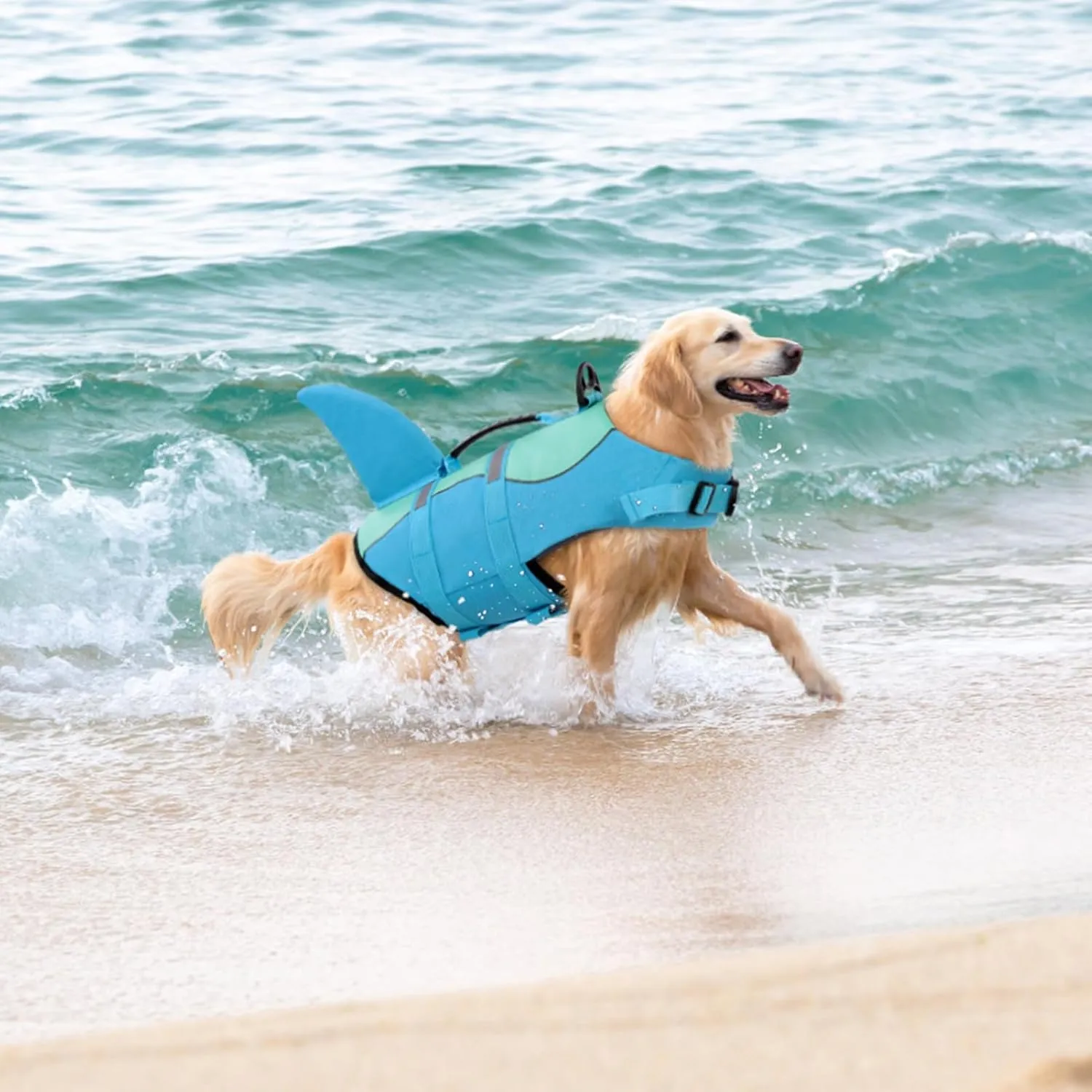 Queenmore Shark Dog Life Jacket, Dog Life Vests for Boating, High Buoyant Pet Life Vest for Swimming, Adjustable Easy On Cat Life Jackets for Small, Medium, Large Dogs (Pool Blue,S)
