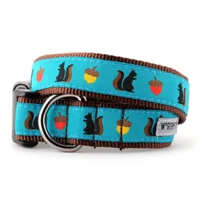 Squirrelly Collar & Leash Collection