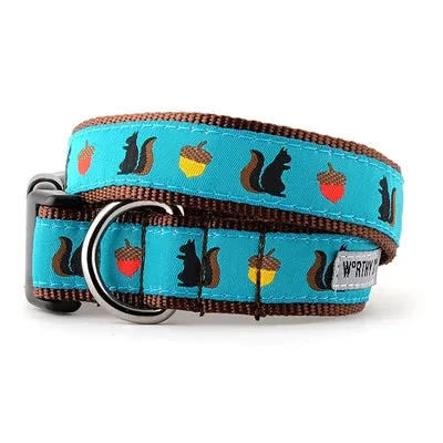 Squirrelly Collar & Leash Collection